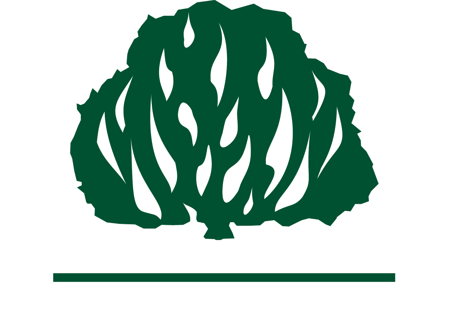 Igreja Presbiteriana do Brasil